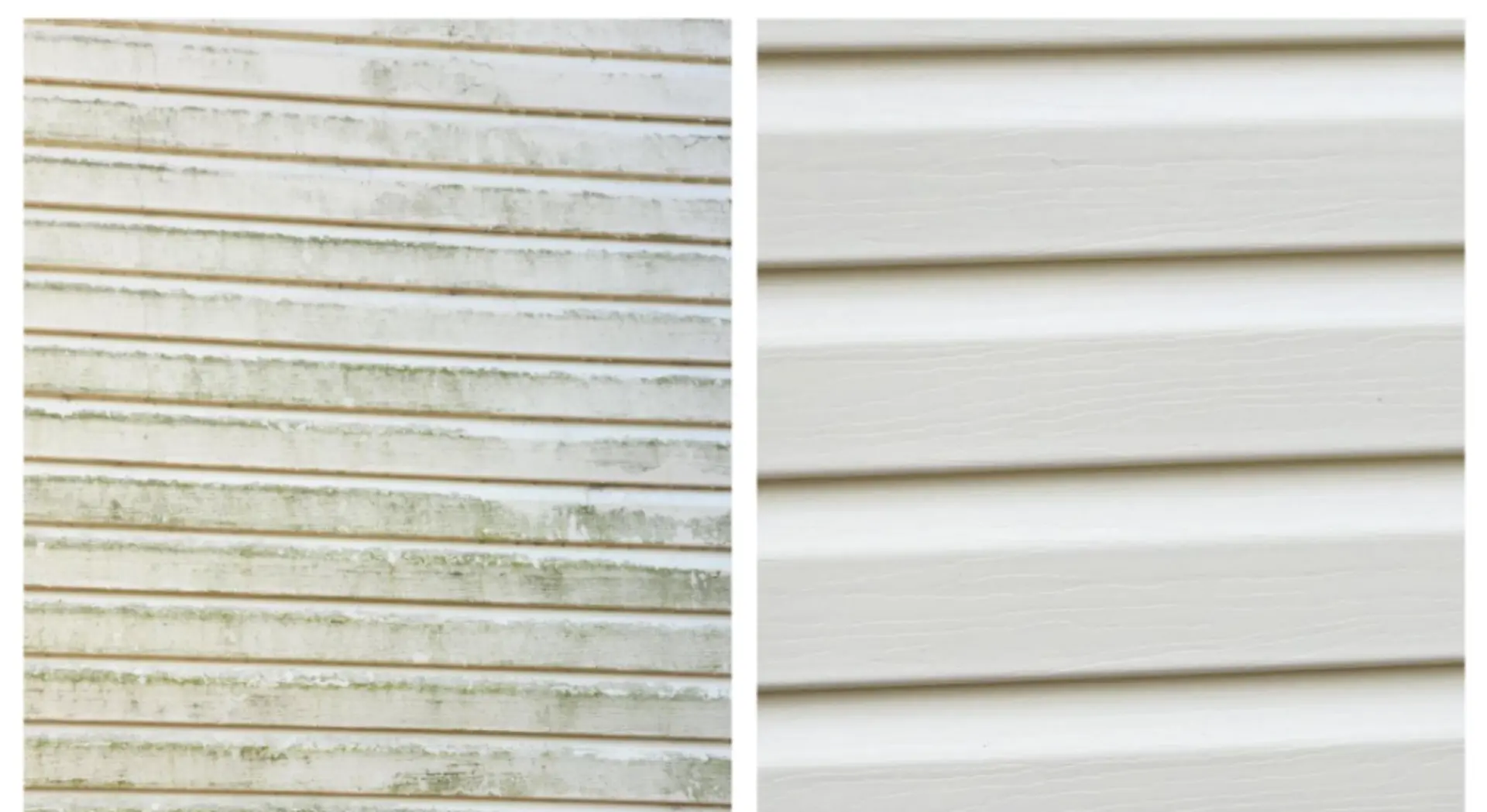 Weatherboard cladding before and after a soft wash, mould and green growth removed